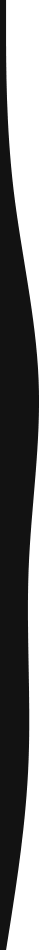 https://mcberry.com/wp-content/uploads/2021/03/black-detail-left.png
